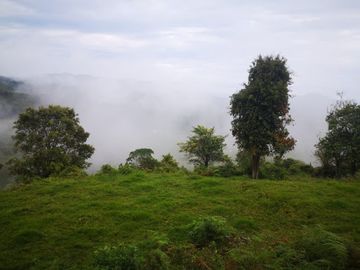 VENTA de FINCAS en QUINCHIA