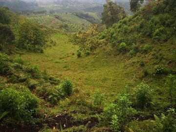 VENTA de FINCAS en QUINCHIA