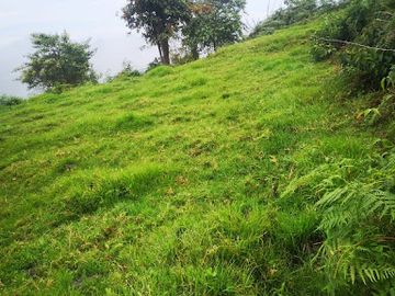 VENTA de FINCAS en QUINCHIA