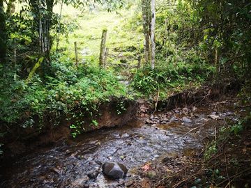 VENTA de FINCAS en QUINCHIA