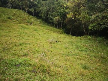 VENTA de FINCAS en QUINCHIA