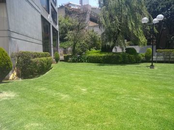 DEPARTAMENTO EN AHUEHUETES