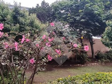 Departamento en Venta en Centro