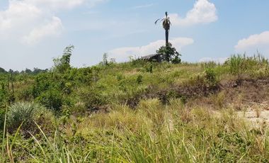 Very Affordable 174 Sqm Lot for Sale in Liloan, Cebu