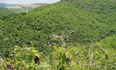 Very Affordable 174 Sqm Lot for Sale in Liloan, Cebu