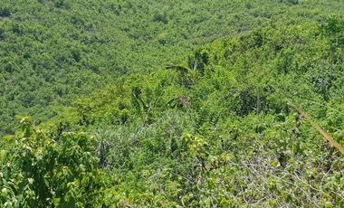 Very Affordable 174 Sqm Lot for Sale in Liloan, Cebu