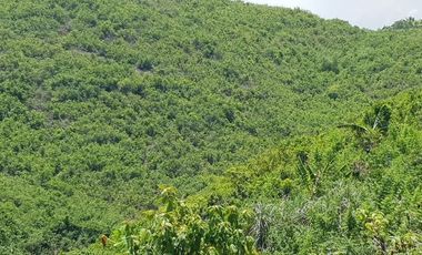 Very Affordable 174 Sqm Lot for Sale in Liloan, Cebu
