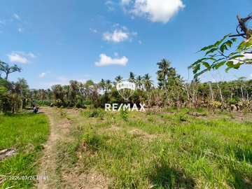 DIJUAL CEPAT! TANAH PRODUKTIF – DS.PENDARUNGAN- BANYUWANGI
