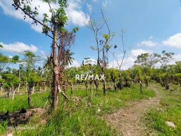 DIJUAL CEPAT! TANAH PRODUKTIF – DS.PENDARUNGAN- BANYUWANGI