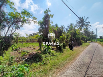 DIJUAL CEPAT! TANAH PRODUKTIF – DS.PENDARUNGAN- BANYUWANGI