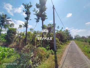 DIJUAL CEPAT! TANAH PRODUKTIF – DS.PENDARUNGAN- BANYUWANGI