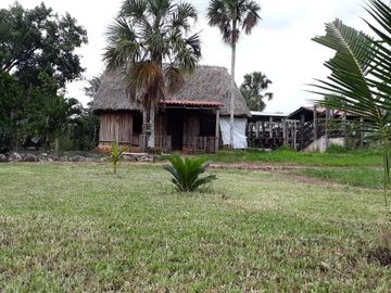 VENTA DE EXCELENTE RANCHO DE 24 HAS, 15 MINUTOS DE TIZIMIN, YUC.