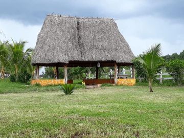 VENTA DE EXCELENTE RANCHO DE 24 HAS, 15 MINUTOS DE TIZIMIN, YUC.