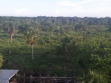 VENTA DE EXCELENTE RANCHO DE 24 HAS, 15 MINUTOS DE TIZIMIN, YUC.