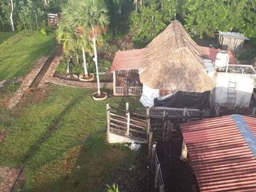 VENTA DE EXCELENTE RANCHO DE 24 HAS, 15 MINUTOS DE TIZIMIN, YUC.