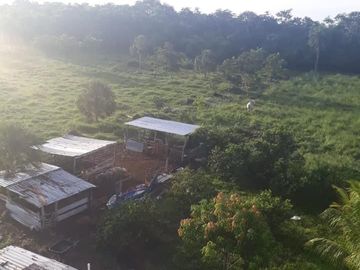 VENTA DE EXCELENTE RANCHO DE 24 HAS, 15 MINUTOS DE TIZIMIN, YUC.