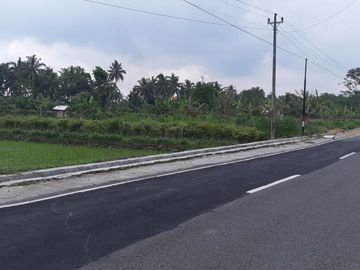 Tanah pekarangan luas di kawasan asri di Jogja utara