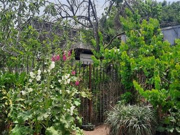 Casa en venta de 4 dorm. en Maipú