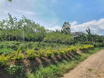tanah murah siap langsung bangun lokasi super strategis cuman 590jt