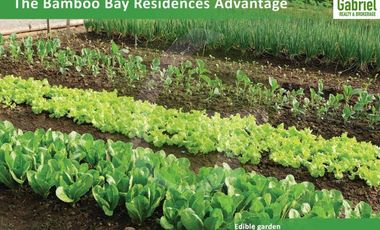 Single Attached Houses in Bamboo Bay Residences Liloan