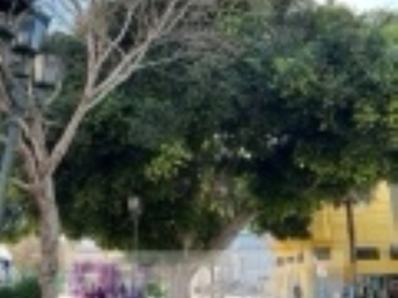 Local Comercial en arriendo en Coquimbo