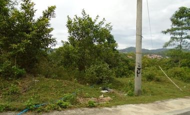 Overlooking 426 SQM Subdivision Lot for Sale in Greenwoods near Talamban Cebu City with Mountain View