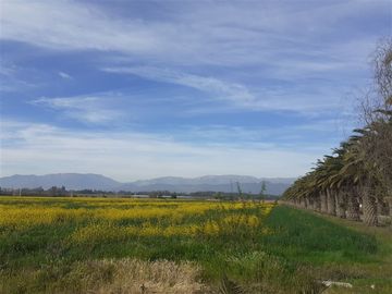 Ultimas dos parcelas en venta en Isla de Maipo