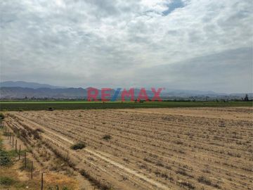 Invierte en Cañete en tu terreno de campo!!!

Esta es tu gran oportunidad para poder contar un gran terreno cerca de todo

- Ubicado a 5 Minutos d