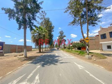 Invierte en Cañete en tu terreno de campo!!!

Esta es tu gran oportunidad para poder contar un gran terreno cerca de todo

- Ubicado a 5 Minutos d