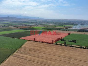 Invierte en Cañete en tu terreno de campo!!!

Esta es tu gran oportunidad para poder contar un gran terreno cerca de todo

- Ubicado a 5 Minutos d