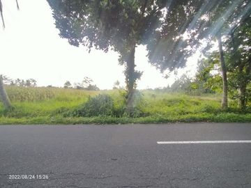 Tanah Bagus Mangku Jalan Raya Dekat Jl Raya Tajem