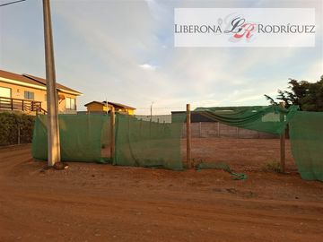 Sitio en venta en Pichidangui