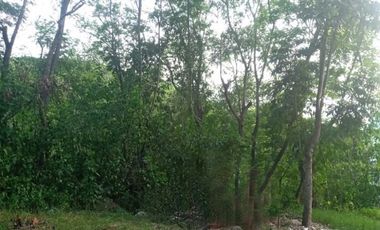 255 Sqm Residential Lot for Sale in Greenville Heights Consolacion Cebu