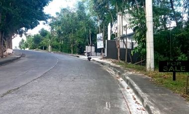 255 Sqm Residential Lot for Sale in Greenville Heights Consolacion Cebu