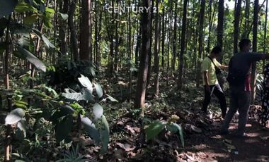 Tanah Subur Dan Akses Mudah Strategis Di Kasokandel Majalengka