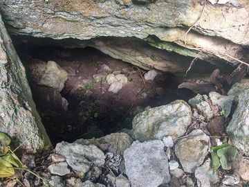 Terreno en Venta, 20 Has, unidad de riego de 15 has, energía eléctrica, Cenote c