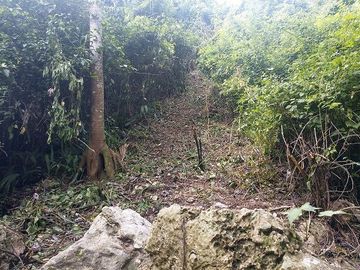 Terreno en Venta, 20 Has, unidad de riego de 15 has, energía eléctrica, Cenote c