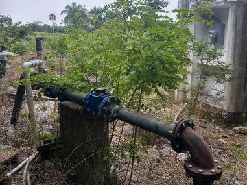 Terreno en Venta, 20 Has, unidad de riego de 15 has, energía eléctrica, Cenote c
