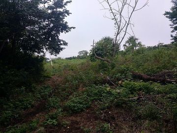 Terreno en Venta, 20 Has, unidad de riego de 15 has, energía eléctrica, Cenote c