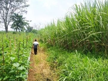Dijual tanah Di Donowarih Bocek Karang Ploso Kab. Malang