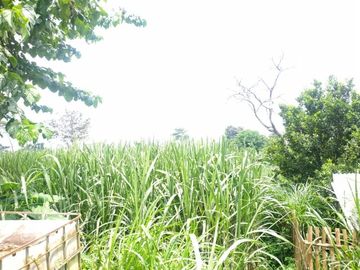 Dijual tanah Di Donowarih Bocek Karang Ploso Kab. Malang