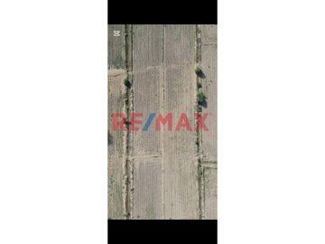 🌾 ¡Oportunidad Única para Inversionistas y Agricultores! 🌾

Presentamos este exclusivo terreno agrícola de 1.07 hectáreas, un espacio donde la ferti