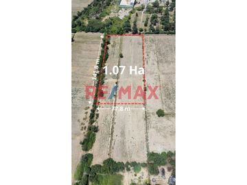 🌾 ¡Oportunidad Única para Inversionistas y Agricultores! 🌾

Presentamos este exclusivo terreno agrícola de 1.07 hectáreas, un espacio donde la ferti