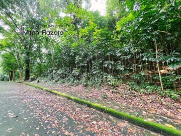 Elevated Big Prime Lot For Sale at Town and Country Estates, Valley Golf Antipolo