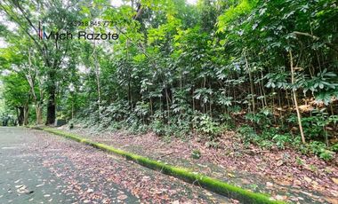Elevated Big Prime Lot For Sale at Town and Country Estates, Valley Golf Antipolo