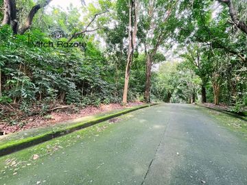 Elevated Big Prime Lot For Sale at Town and Country Estates, Valley Golf Antipolo