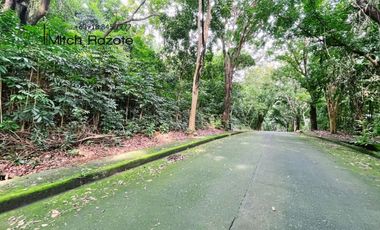 Elevated Big Prime Lot For Sale at Town and Country Estates, Valley Golf Antipolo