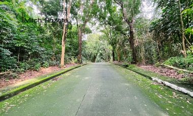 Elevated Big Prime Lot For Sale at Town and Country Estates, Valley Golf Antipolo