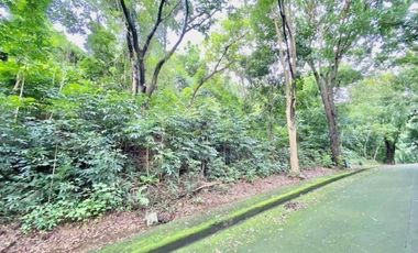 Elevated Big Prime Lot For Sale at Town and Country Estates, Valley Golf Antipolo