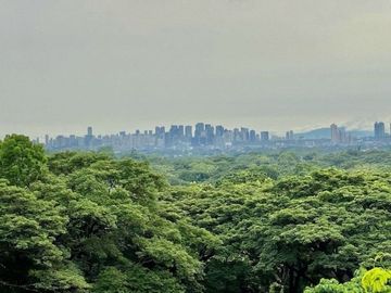 Elevated Big Prime Lot For Sale at Town and Country Estates, Valley Golf Antipolo